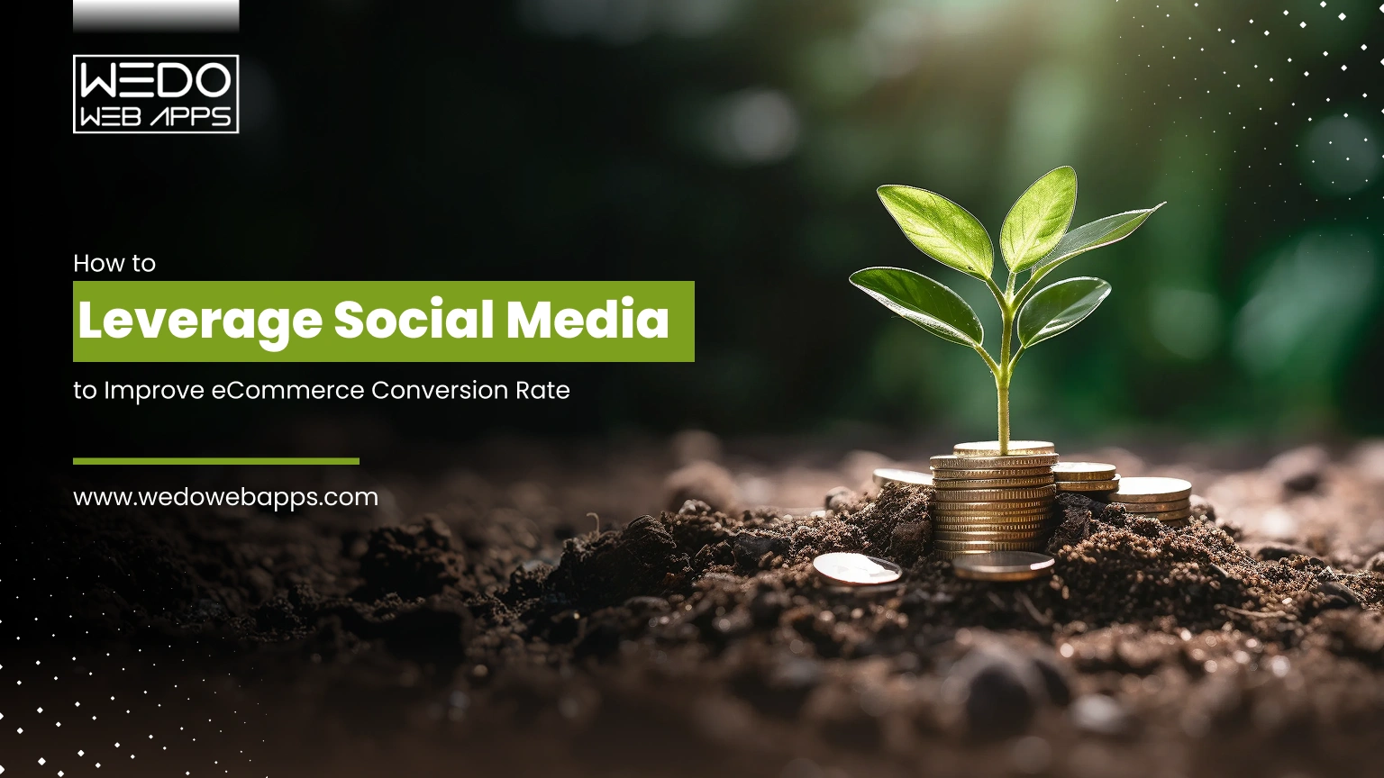 How to Leverage Social Media to Improve eCommerce Conversion Rate