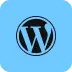 Sr. Wordpress Developer