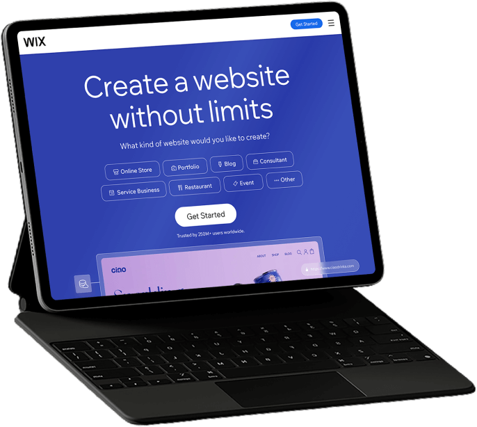 wix website development