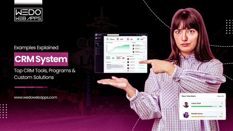 CRM System Examples Explained: Top CRM Tools, Programs & Custom Solutions