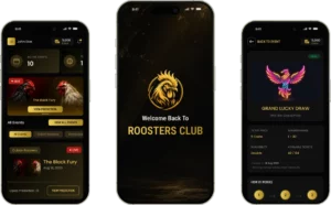 rooster-about-project