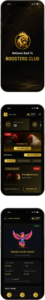 rooster-about-project-mobile